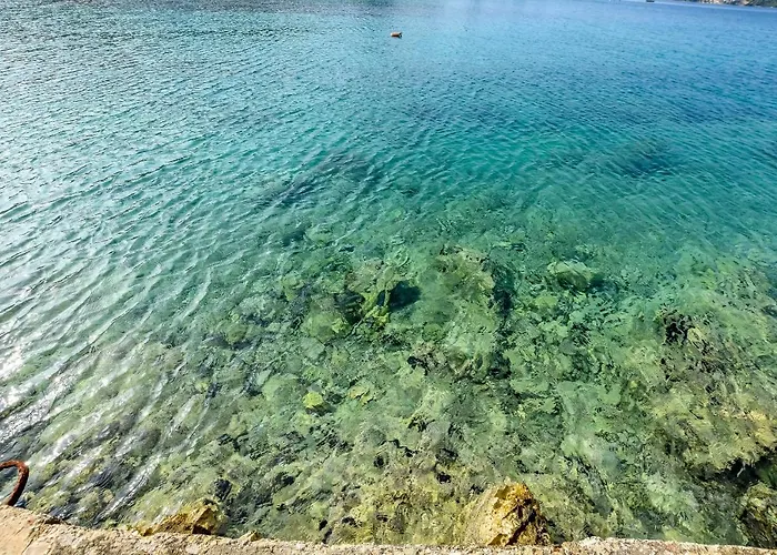 Kresimir Apartamento *